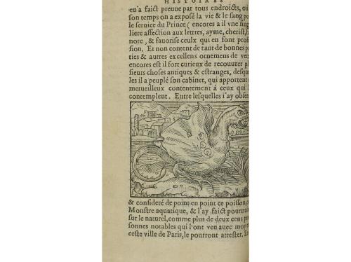 1583. LIBRO. (LITERATURA). BOAISTUAU, P.; TESSERANT, CLAUDE 