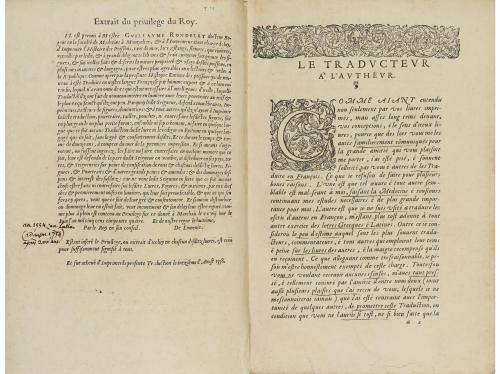 1558. LIBRO. (CIENCIAS). RONDELET, GUILAUME:. LA PREMIERE PA