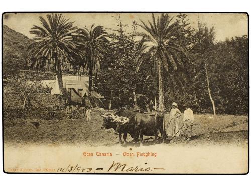 ✉ ESPAÑA. 1902. LAS PALMAS a TURIN (Italia). Tarjeta postal,
